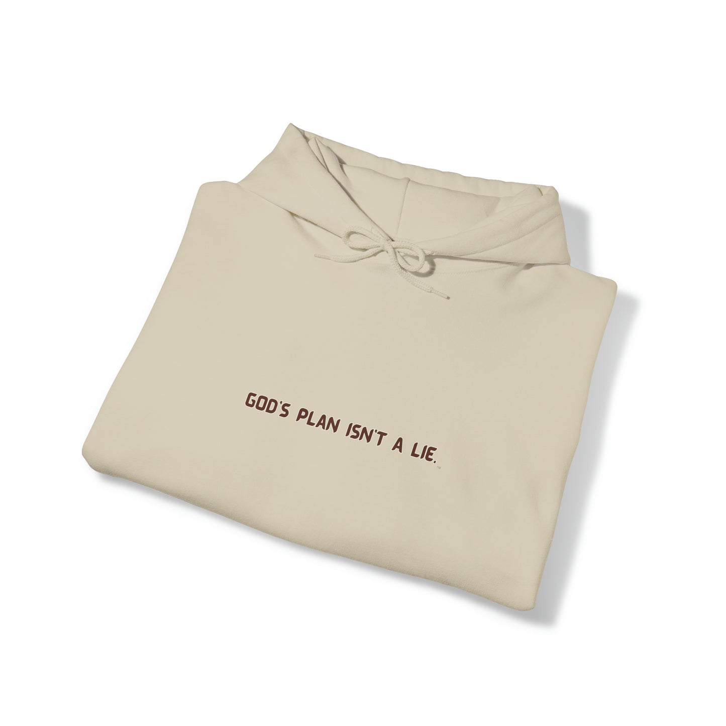 God's Plan Isn't A Lie Hoodie