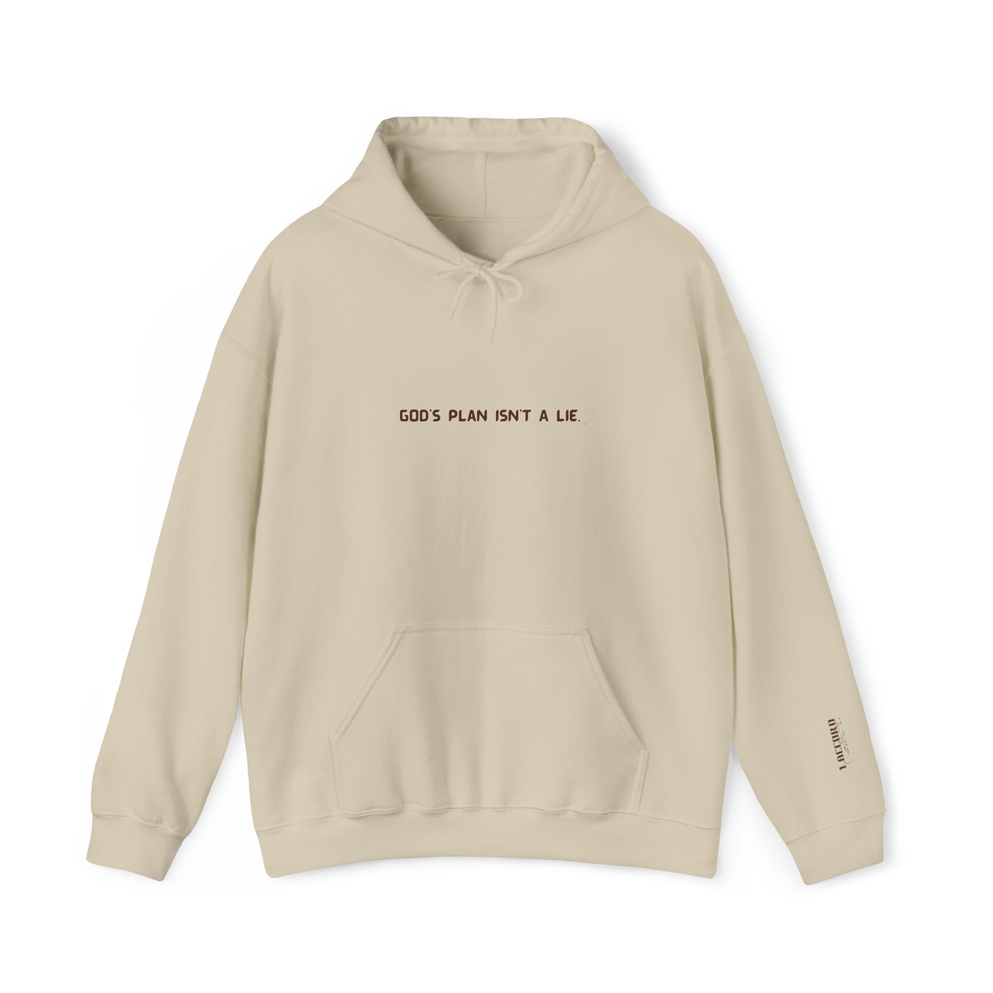 God's Plan Isn't A Lie Hoodie