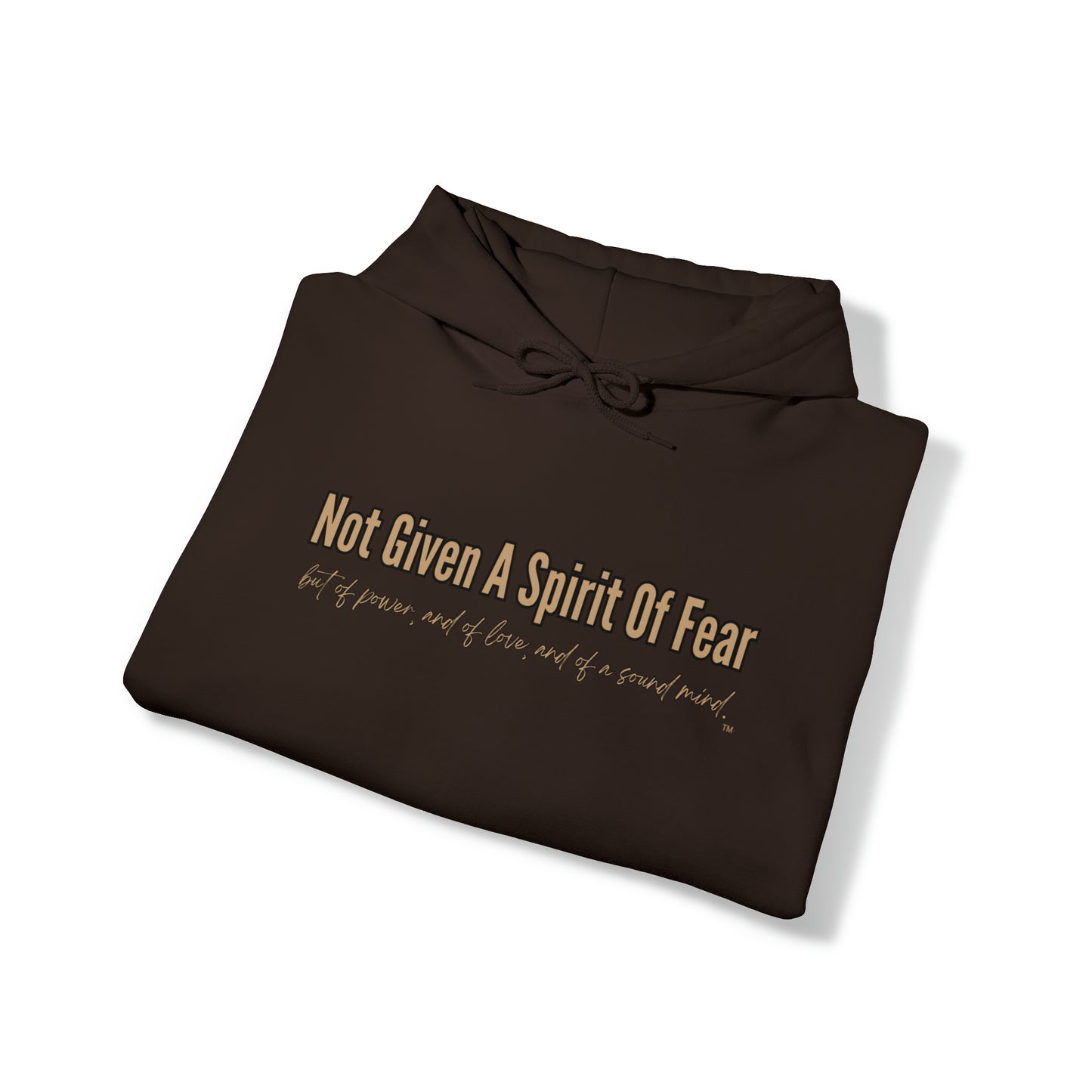 Not Given A Spirit of Fear Hoodie