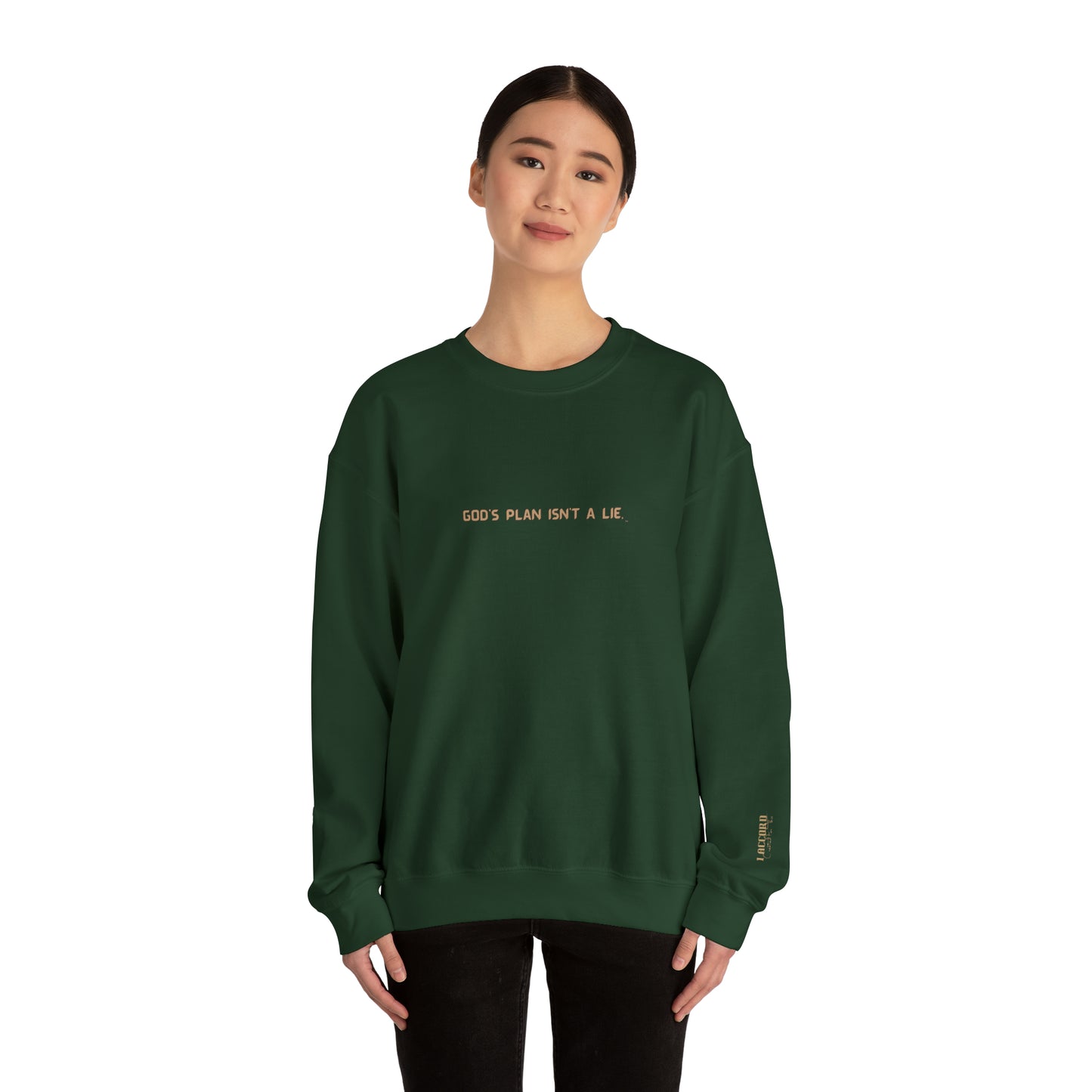 God's Plan Isn't t A Lie Crewneck